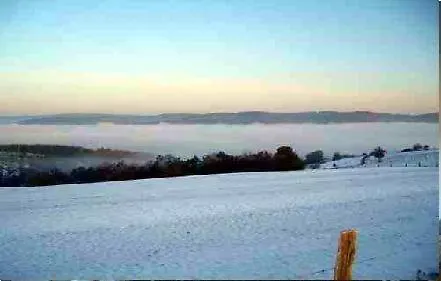 بيت ضيافة Haus Salzberg Garni شليدن