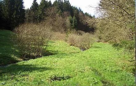 Haus Salzberg Garni Schleiden