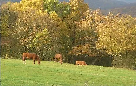 بيت ضيافة Haus Salzberg Garni